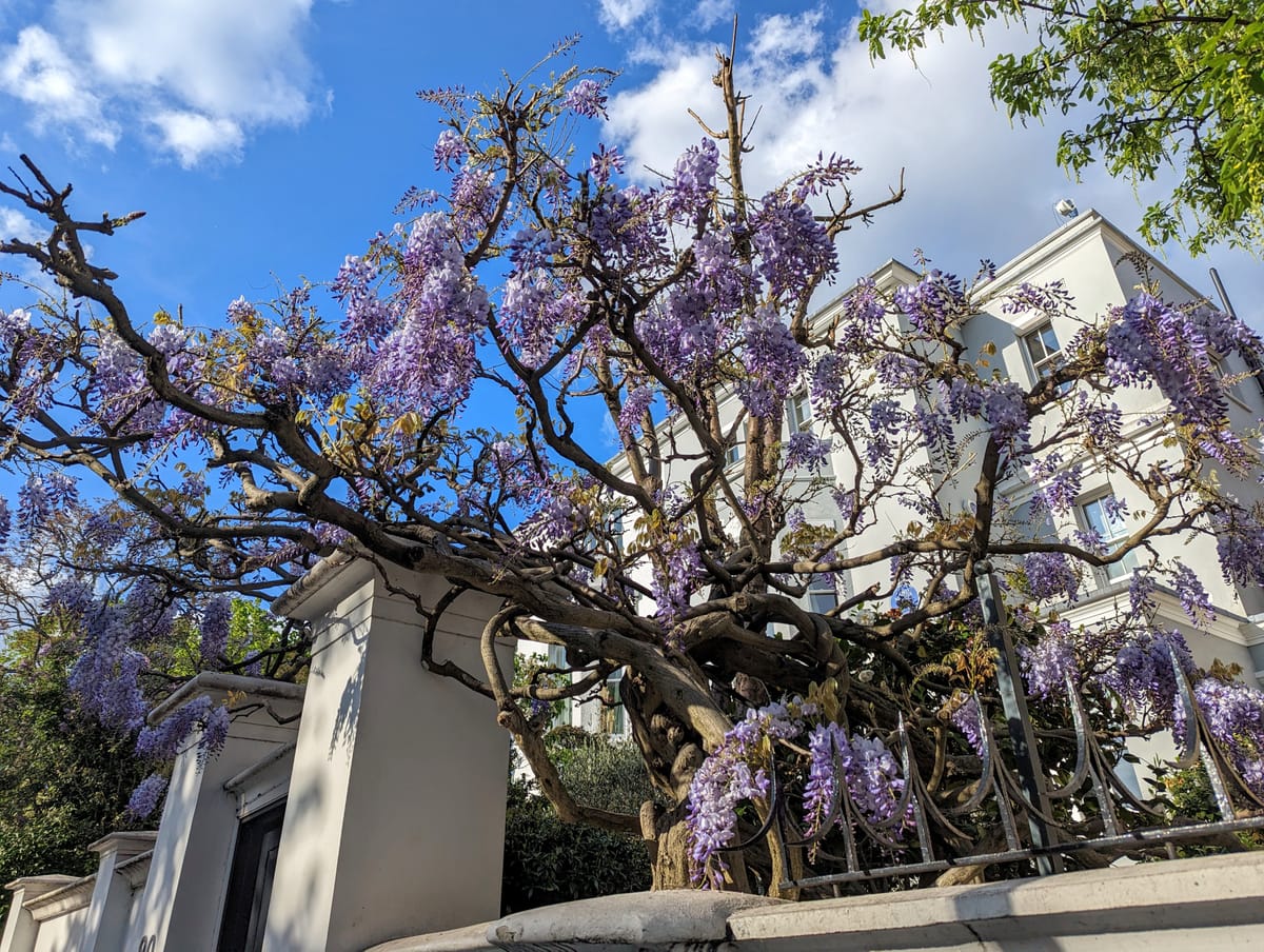 Starting the season with happiness