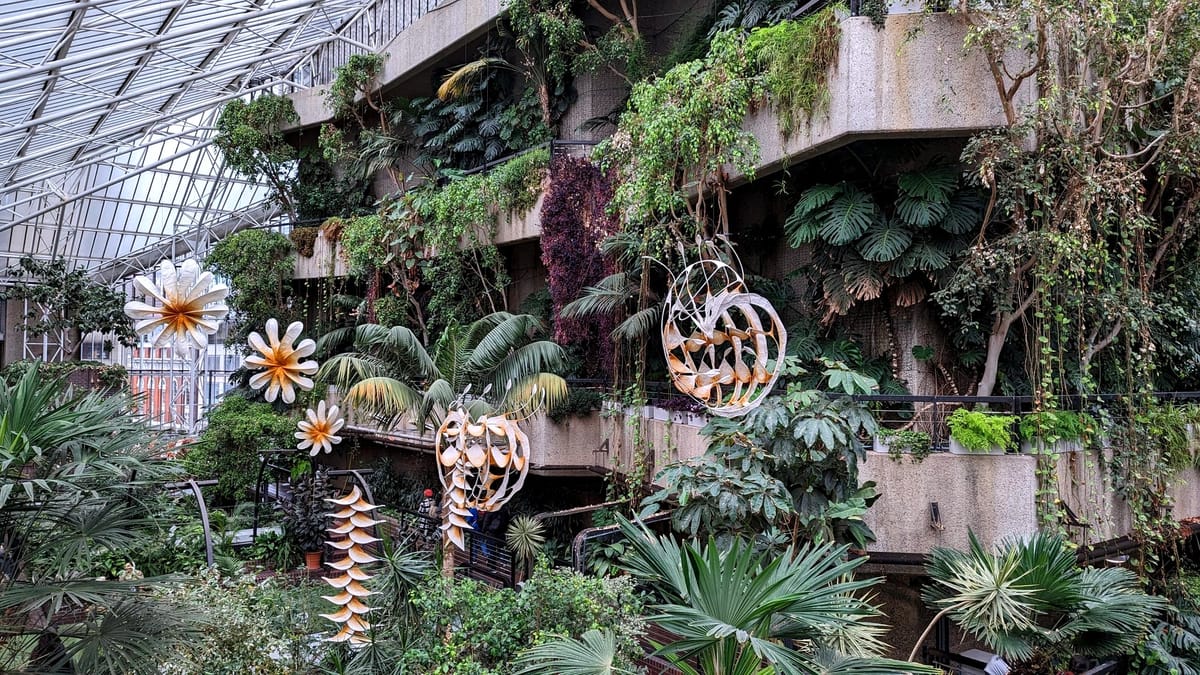Ranjani Shettar paper sculptures hang in the Barbican conservatory.