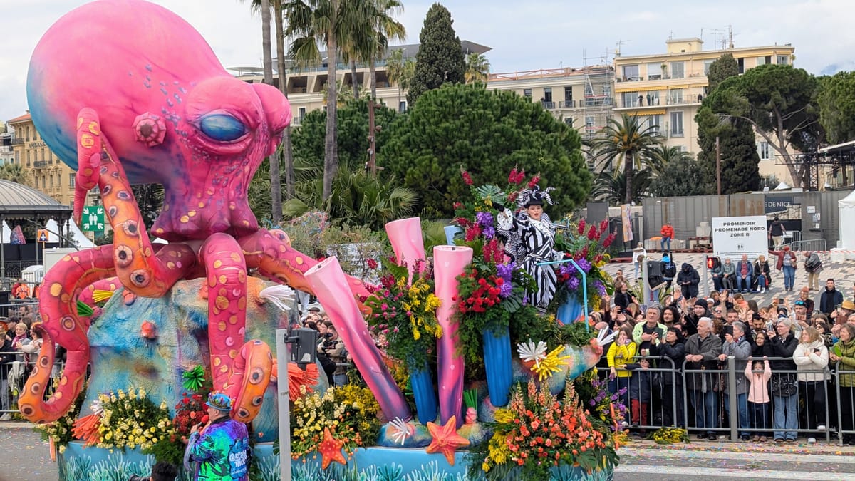 Flower battles, soil and spring equinox