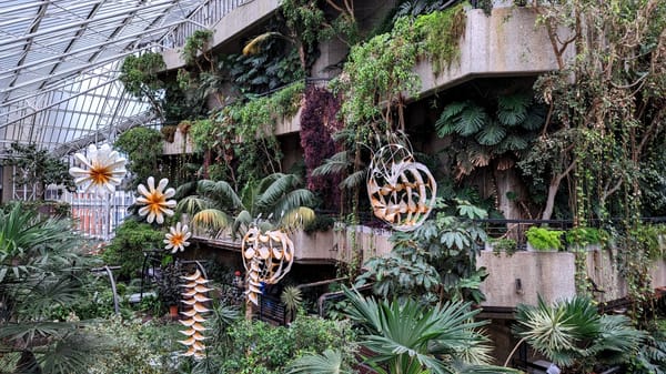 Ranjani Shettar paper sculptures hang in the Barbican conservatory.